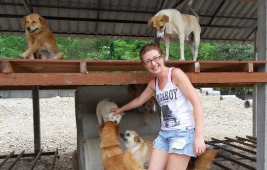 Sarah Connolly working with rescue dogs in Thailand in 2012